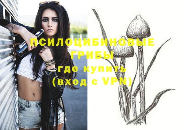 MESCALINE Вяземский