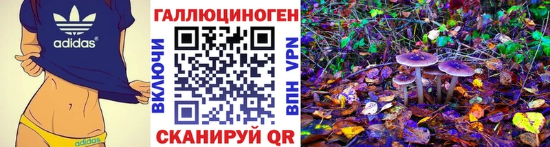 Галлюциногенные грибы Psilocybe  Купить  Маркс 